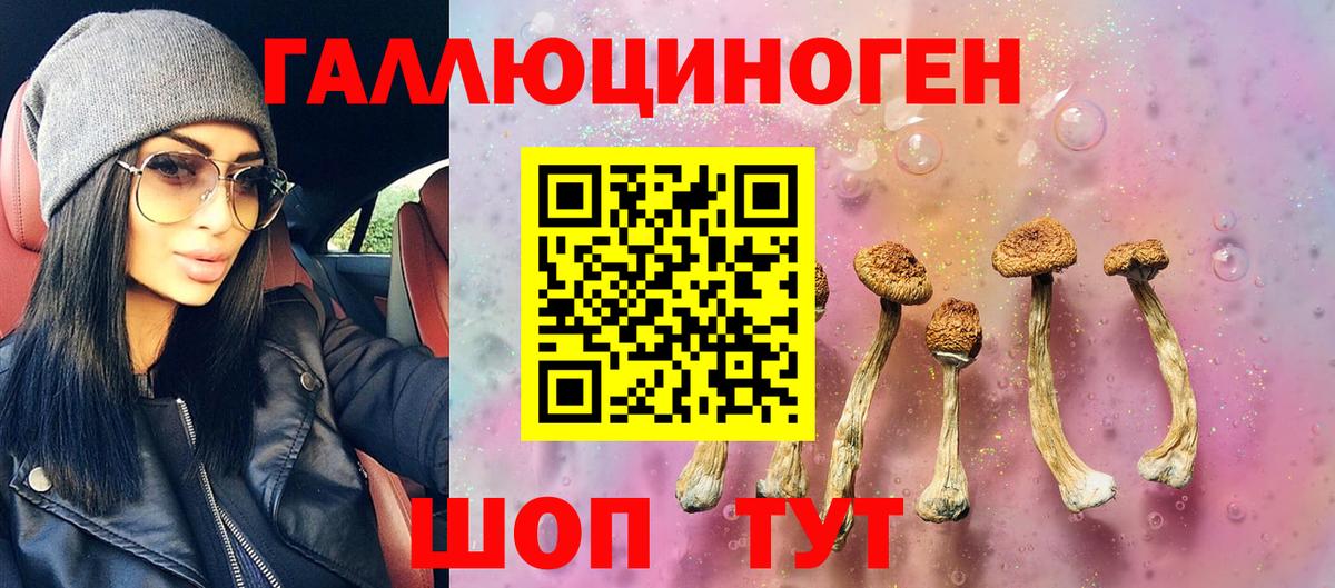 Псилоцибиновые грибы Magic Shrooms  Вход с VPN  Асино 