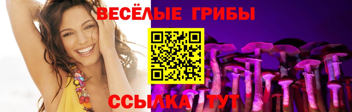 Псилоцибиновые грибы GOLDEN TEACHER Асино